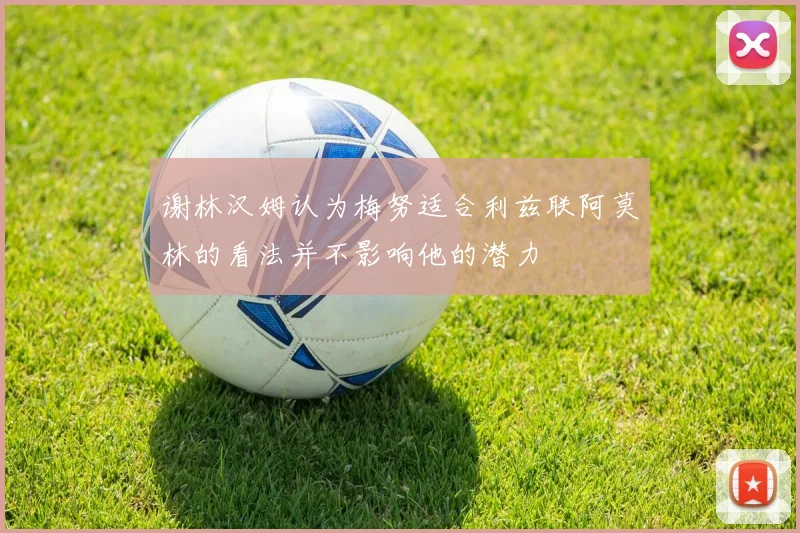 谢林汉姆认为梅努适合利兹联阿莫林的看法并不影响他的潜力