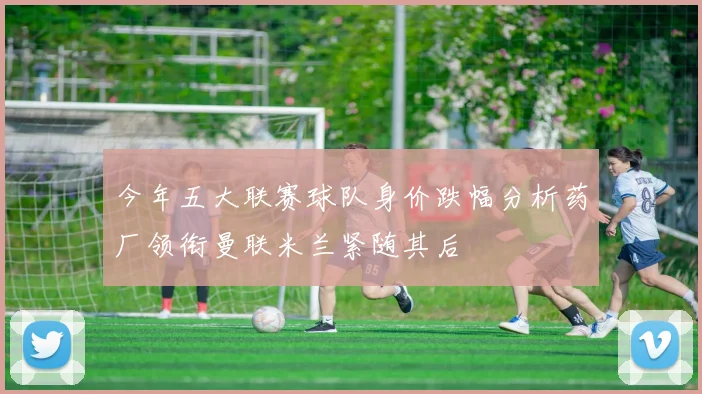 今年五大联赛球队身价跌幅分析药厂领衔曼联米兰紧随其后