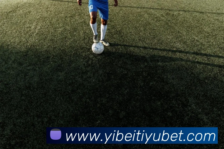 易倍体育APP 高清赛事图